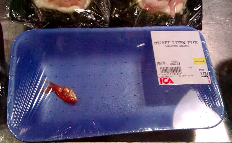 mycket liten fisk